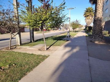 Casa en Venta en arauco