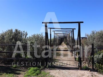 Terreno Construccion en Venta en Mesetas Changanal