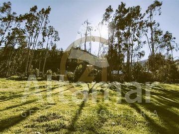 Parcela en Venta en ENTRE CONDOMINIO CEBADA Y FUNDO LORETO