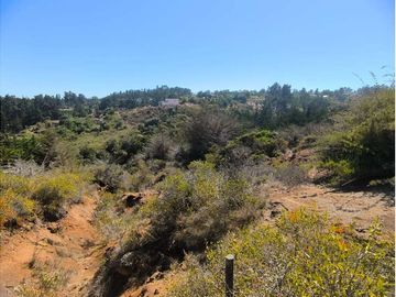 Terreno en Algarrobo con Vista al Mar y Quebrada