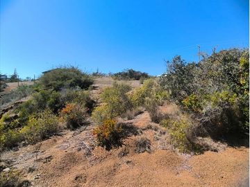 Terreno en Algarrobo con Vista al Mar y Quebrada
