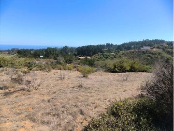 Terreno en Algarrobo con Vista al Mar y Quebrada