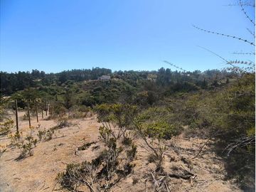 Terreno en Algarrobo con Vista al Mar y Quebrada