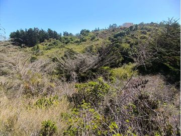 Terreno en Algarrobo con Vista al Mar y Quebrada