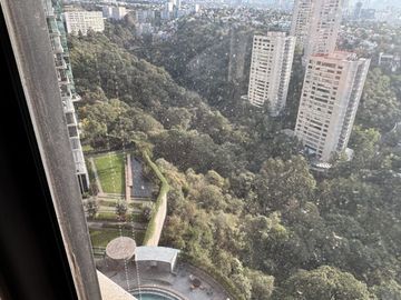 Avivia, Bosques, Terminado, y Decorado