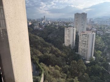 Avivia, Bosques, Terminado, y Decorado