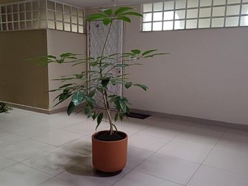 DEPARTAMENTO EN VENTA CONJUNTO CIUDAD OCCIDENTE 75.000 SAN FERNANDO