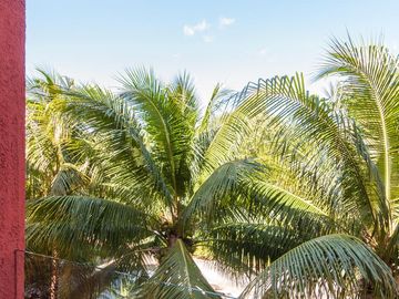 Sophisticated Elegance: Exclusive 3-Bedroom Residence in Playacar