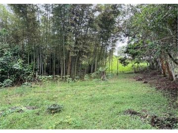 SE VENDE FINCA EN TOCOTA AR