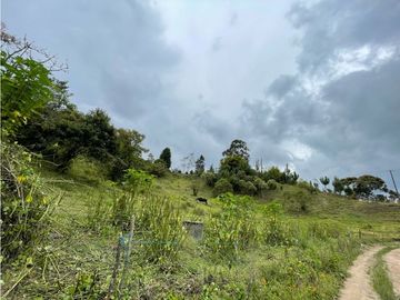 FINCA CON LOTE PARA PARCELAR EN VENTA CARMEN DE VIBORAL