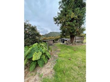 FINCA CON LOTE PARA PARCELAR EN VENTA CARMEN DE VIBORAL