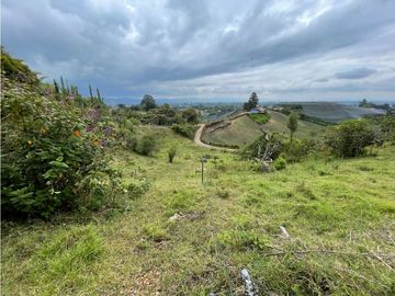 FINCA CON LOTE PARA PARCELAR EN VENTA CARMEN DE VIBORAL