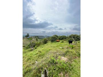 FINCA CON LOTE PARA PARCELAR EN VENTA CARMEN DE VIBORAL