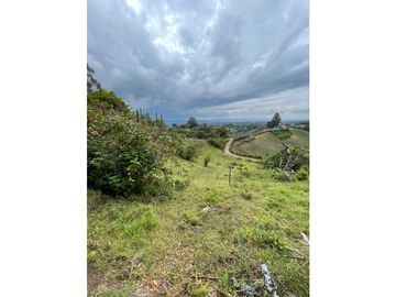 FINCA CON LOTE PARA PARCELAR EN VENTA CARMEN DE VIBORAL