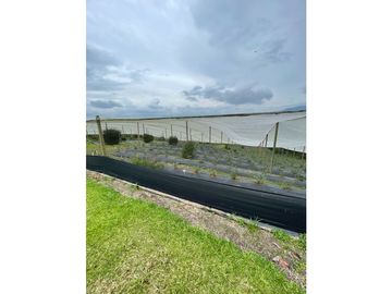 FINCA CON LOTE PARA PARCELAR EN VENTA CARMEN DE VIBORAL