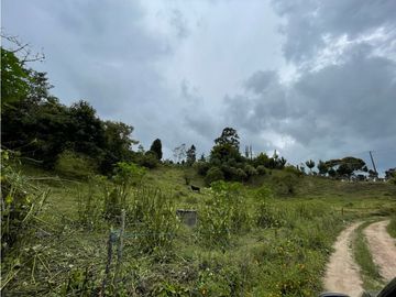 FINCA CON LOTE PARA PARCELAR EN VENTA CARMEN DE VIBORAL