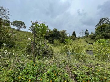 FINCA CON LOTE PARA PARCELAR EN VENTA CARMEN DE VIBORAL