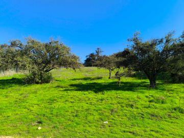 Parcela en venta en QUILPUÉ