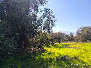 Parcela en venta en QUILPUÉ