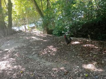 TERRENO EN VENTA EN TANCAHITZ DE SANTOS EN SAN LUIS POTOSI