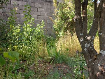 TERRENO 600 MT2 EN CENTRO DE COYHAIQUE