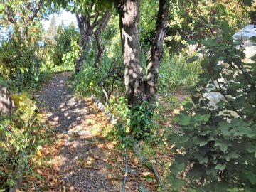 TERRENO 600 MT2 EN CENTRO DE COYHAIQUE