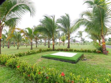 TERRENOS EN VENTA COJIMIES PEDERNALES 1622 M2