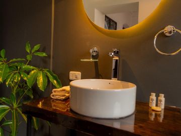 Casa - Hotel  en  Venta 368 m2 Centro Histórico