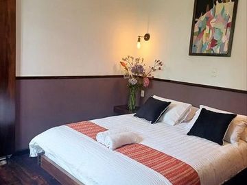 Casa - Hotel  en  Venta 368 m2 Centro Histórico