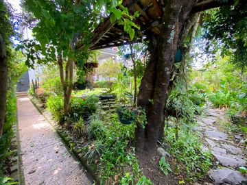 Casa - Hotel  en  Venta 368 m2 Centro Histórico