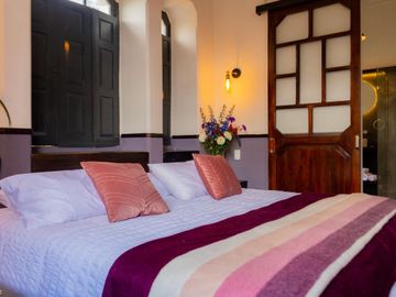 Casa - Hotel  en  Venta 368 m2 Centro Histórico