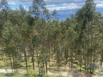 DEPARTAMENTO DE VENTA EN MIRA LOMA SAN ISIDRO DEL INCA