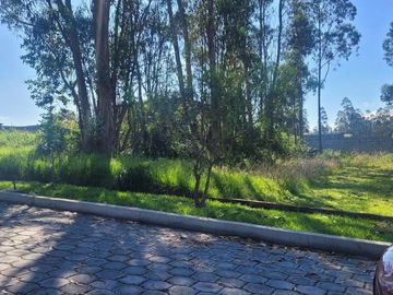 LLANO CHICO VENDO TERRENO ANTIGUA HACIENDA SAN JOSE 1000 METROS