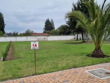 VENDO TERRENO / UNIFAMILIAR / PUEMBO / PIFO / CHAUPIMOLINO