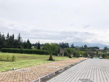 VENDO TERRENO / UNIFAMILIAR / PUEMBO / PIFO / CHAUPIMOLINO
