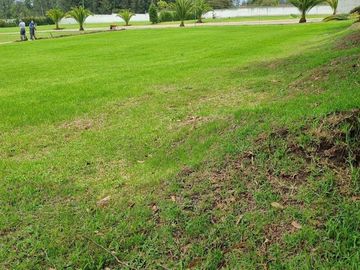 VENDO TERRENO / UNIFAMILIAR / PUEMBO / PIFO / CHAUPIMOLINO