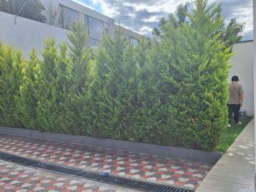 DEPARTAMENTO EN VENTA EN TUMBACO  3 DORMITORIOS 151MT²