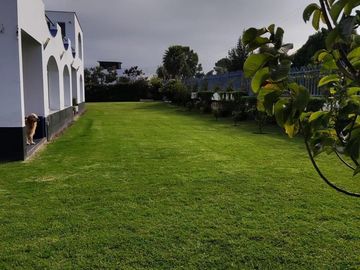 Venta casa grande  con 1000 m2 de terreno La Morita