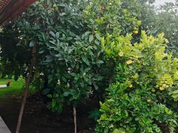 VENTA CASA UNA SOLA PLANTA CON DEPARTAMENTO, TERRENO DE 1000 M2 EN GUAYLLABAMBA