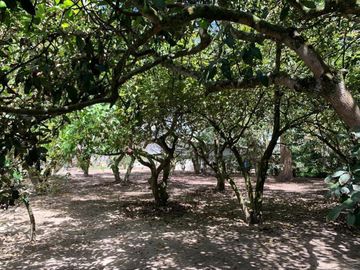GUAYLLABAMBA CASA EN VENTA BELLO HORIZONTE 2000m2