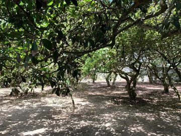 GUAYLLABAMBA CASA EN VENTA BELLO HORIZONTE 2000m2