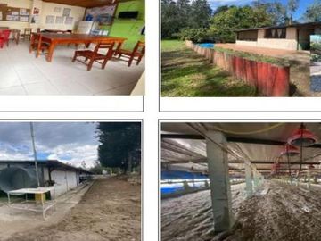 CAYAMBE TERRENO EN VENTA 7,8 ha