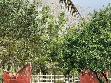 Hacienda en Cansahcab, Yucatán, en venta