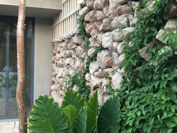 Venta Casa en Jesus Carranza Merida