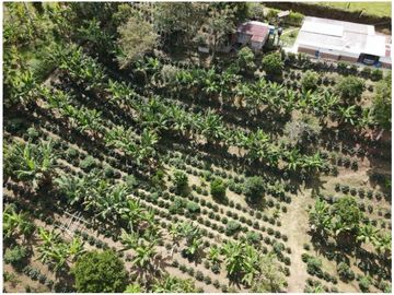 SE VENDE FINCA EN LA VIA CIRCASIA - MONTENEGRO