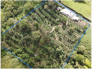 SE VENDE FINCA EN LA VIA CIRCASIA - MONTENEGRO
