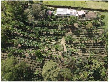 SE VENDE FINCA EN LA VIA CIRCASIA - MONTENEGRO