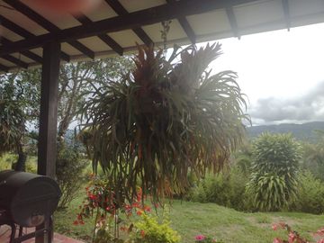 Finca Kilometro 30  Csa De Un Piso Condominio 3000.