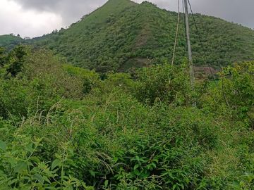 Vijes,vereda Carbonero ,37.000 Mtrs