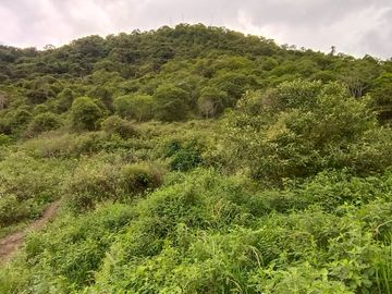 Vijes,vereda Carbonero ,37.000 Mtrs